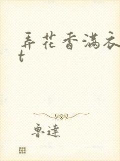 弄花香满衣txt