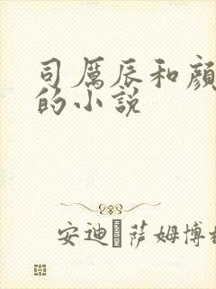 司厉辰和颜辞兮的小说