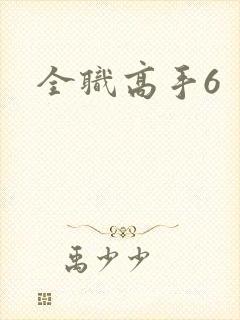 全职高手6