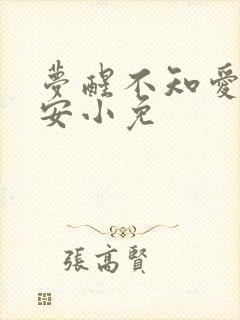 梦醒不知爱欢凉安小免