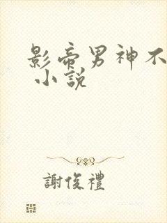 影帝男神不节制 小说