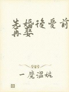 先婚后爱前妻难再娶