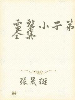 电击小子第二部全集