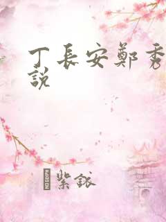 丁长安郑秀兰小说