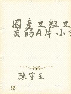 国产又粗又黄又爽的A片小说