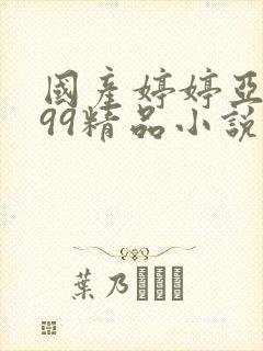 国产婷婷亚洲999精品小说