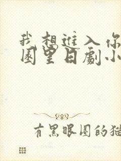 我想进入你的花园里日剧小说