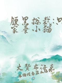 腹黑总裁:只疼家养小猫