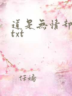 道是无情却有情txt