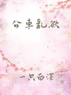 公车乱欲