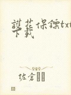 护花保镖txt下载