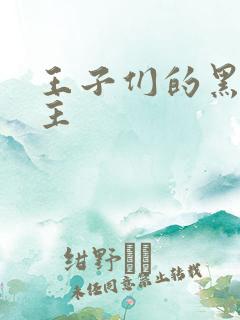 王子们的黑道公主