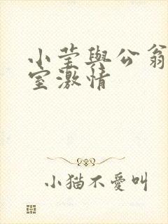 小莹与公翁办公室激情