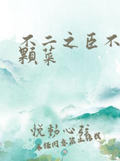 不二之臣不止是颗菜