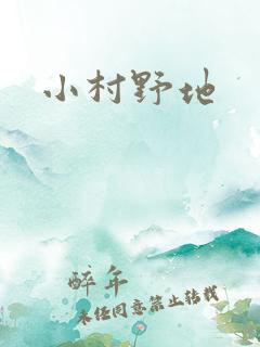 小村野地