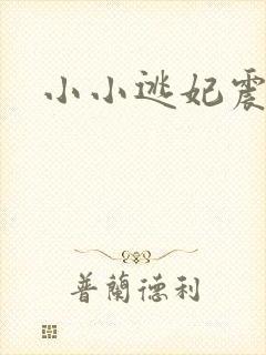 小小逃妃震江山