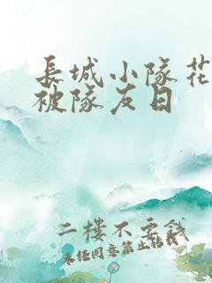 长城小队花木兰被队友日