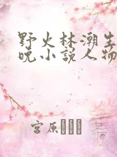 野火林潮生林晚晚小说人物野火