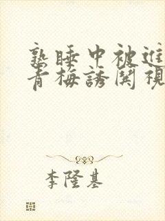 熟睡中被进了H青梅诱哄视频