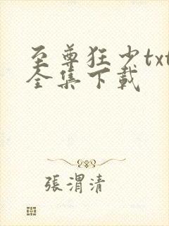 至尊狂少txt全集下载