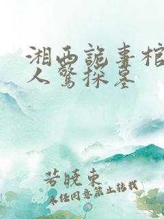 湘西诡事棺山道人惊探墓