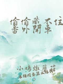 偷偷藏不住婚后番外开车