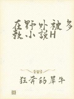 在野外被多人调教小说H