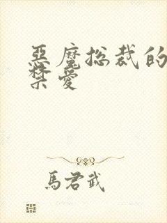 恶魔总裁的一夜禁爱