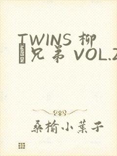 TWINS 柳澤兄弟 VOL.2