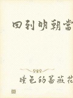 回到明朝当太子