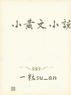 小黄文小说