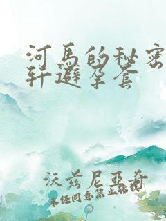 河马的秘密河文轩避孕套