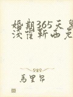 婚期365天慕浅霍靳西免费阅读
