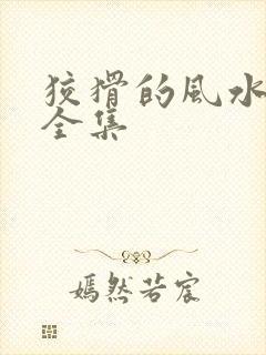 狡猾的风水相师全集