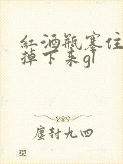 红酒瓶塞住不准掉下来gl