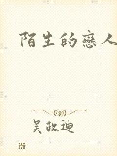 陌生的恋人小说