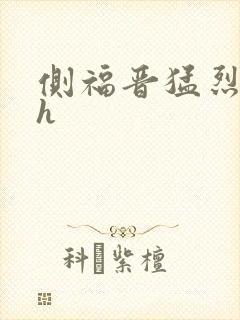 侧福晋猛烈顶弄h