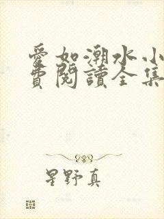 爱如潮水小说免费阅读全集