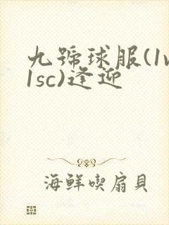 九号球服(1v1sc)逢迎