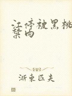 江停被黑桃K囚禁肉