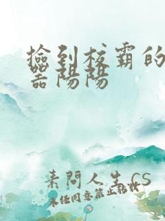 捡到校霸的遥控器阳阳