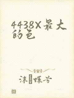 4438X最大的色