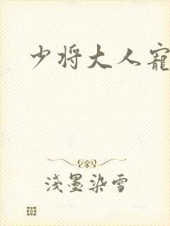 少将大人宠宠我