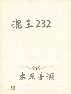 混王232