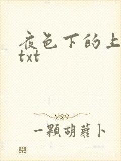 夜色下的上海滩txt