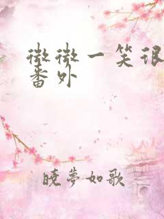 微微一笑很倾城番外