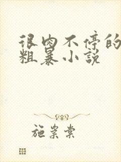 很肉不停的做很粗暴小说