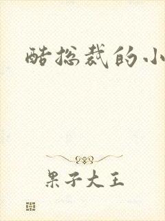 酷总裁的小女佣