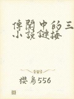 传闻中的三公主小说链接