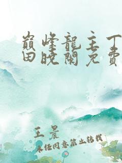 巅峰龙主丁长顺田晓兰免费阅读